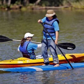 paddle boards and kayaks