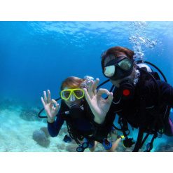 Open Water Diver Checkout Dives