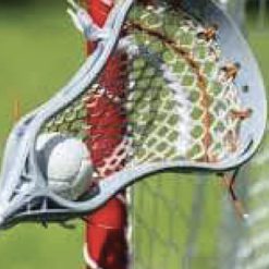 Lacrosse
